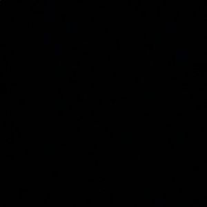 Meet your Posher, Bailey